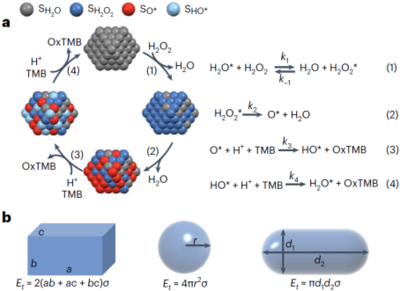 国家纳米中心高兴发团队在Nature Protocols发表综述 纳米酶催化活性与动力学测定方法优化