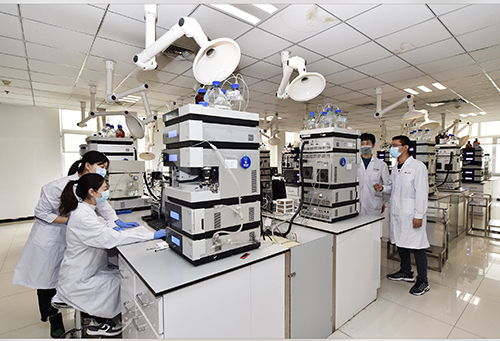 创新为中医药发展注入新活力 医学研究与试验发展的融合之路