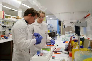 澳洲名校之路 医学研究与试验发展的重要性与路径